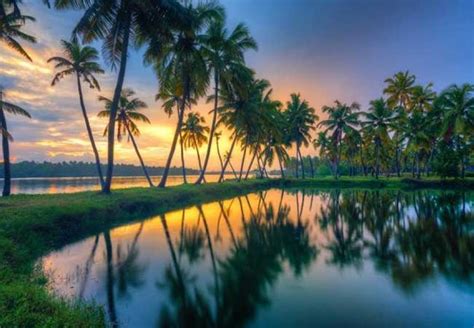 Cochin Backwater tour trip packages, backwater Houseboat booking in Kochi