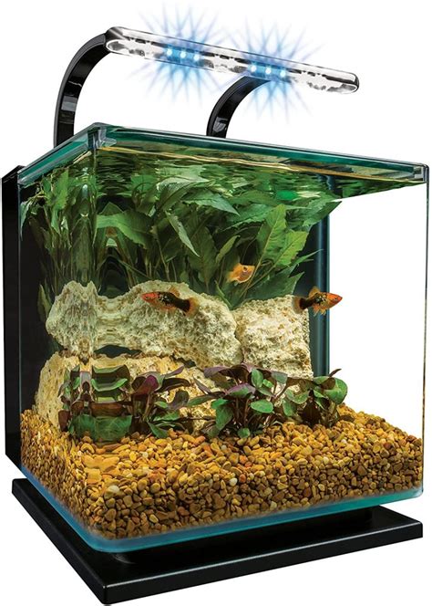 MarineLand 3 Gallons Contour Glass Aquarium Kit with Rail Light ...