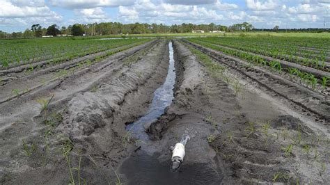 Rising Back up to the Surface: Here Comes WOTUS Again - Growing Produce