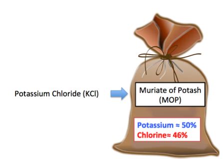 Potassium Chloride | Formula, Uses & Side Effects - Lesson | Study.com