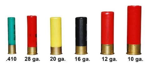 Shotgun Ammo 101 Shotgun Ammo Explained, 58% OFF