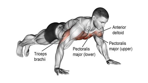 Wide Grip Push Ups: How To Do, Muscles Worked & Benefits