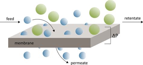 Introduction to membrane science from the Open Membrane Database · OMD