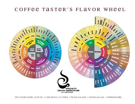 Coffee Flavour Aroma Body Acidity Bitterness - Espresso Planet Canada