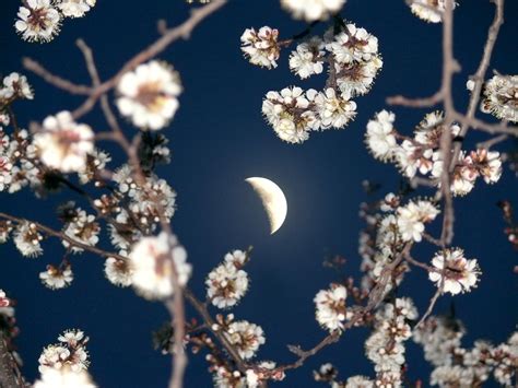 The Moon - #astrophotography photo contest | Photocrowd photo ...