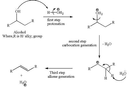 What is the mechanism for the acid catalyzed dehydration of an alcohol ...