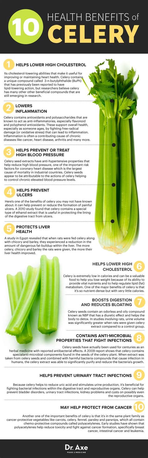 10 Health Benefits of Celery - Dr. Sam Robbins