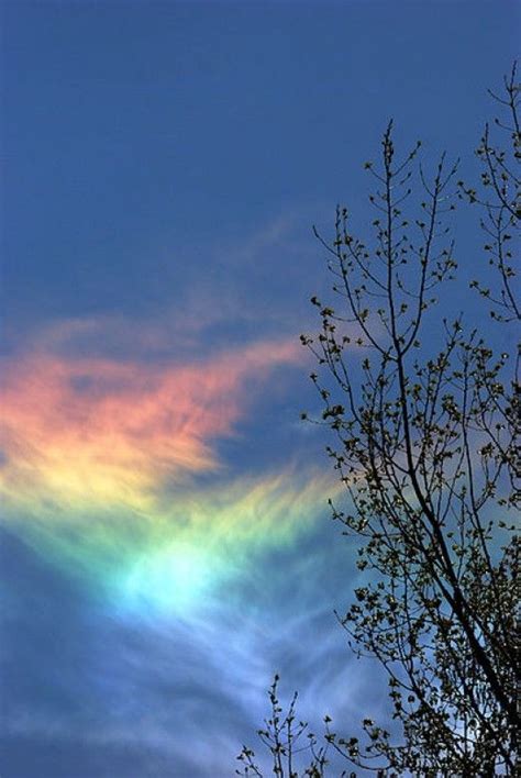 20 Nacreous Clouds & Fire Rainbow Pictures - Natural Phenomena ...