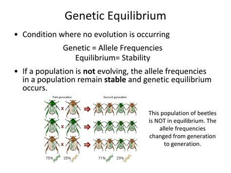 PPT - The Evolution of Populations PowerPoint Presentation, free ...