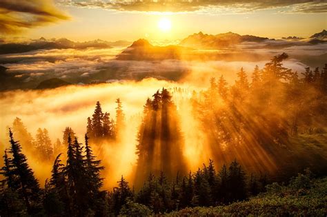 landscape, Sun Rays, Forest, Mountain, Clouds Wallpapers HD / Desktop ...