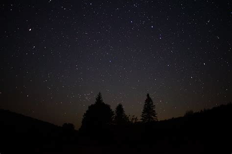 File:Night-sky-stars-forest-trees - West Virginia - ForestWander.jpg ...