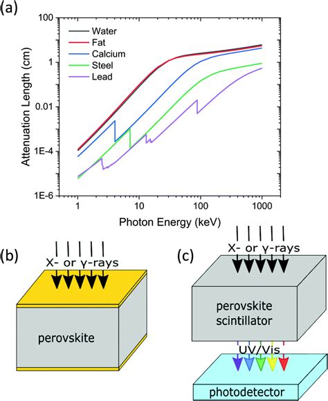 Halide perovskites scintillators: unique promise and current ...