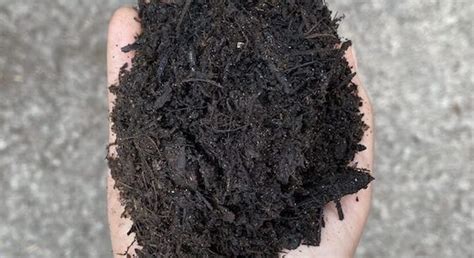 Soil Conditioner and Compost – Earthborn Australia