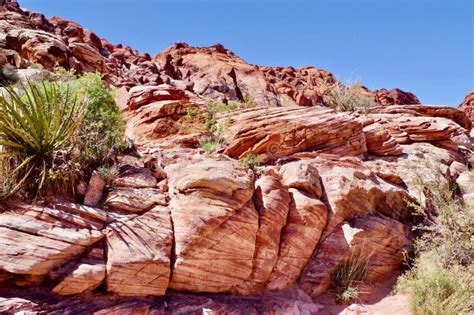 Calico Basin, Red Rock Conservation Area, Southern Nevada, USA Stock ...