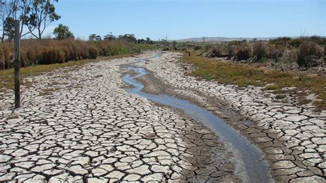 Droughts are threatening global wetlands: new study | Newsroom ...