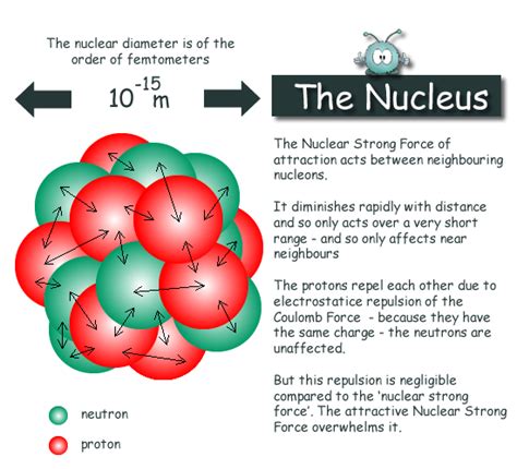 Atomic Nucleus