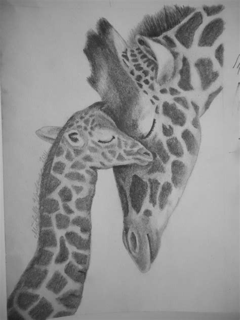 Giraffe and Baby Pencil Drawing | drawings | Pinterest | Giraffe ...