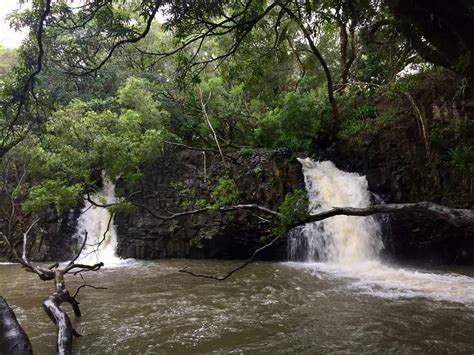 Twin Falls Maui Trail - Maui County, HI | MyHikes.org