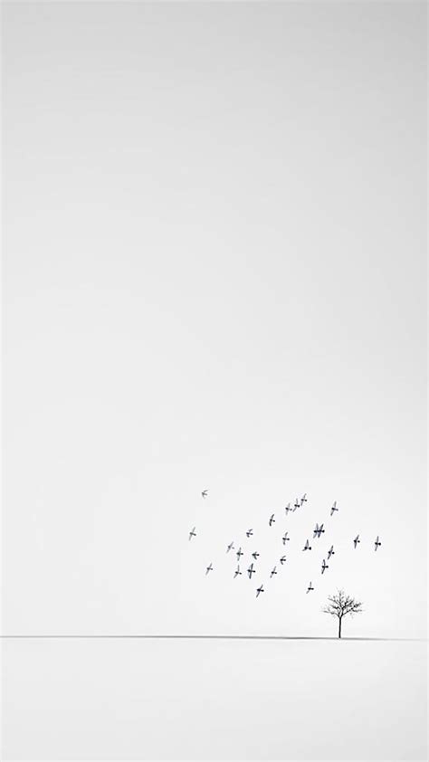 Black And White Minimalist Wallpaper Phone : Minimalistic background ...