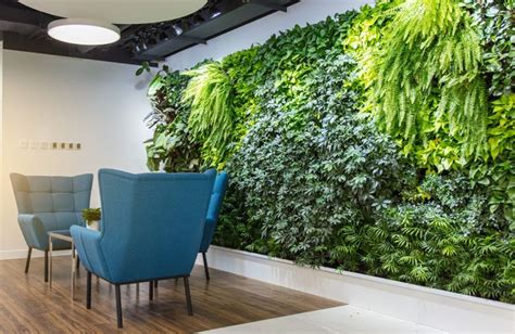 Wonder Walls—Green Walls That Bring Life Into Urban Spaces | Indoor ...