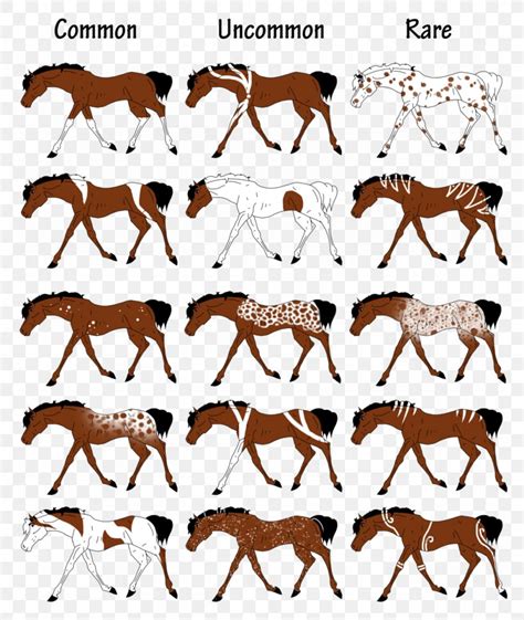 paint horse color patterns - westernArtDrawings