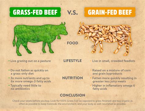 Why should I buy “grass-fed beef”? – Pressery