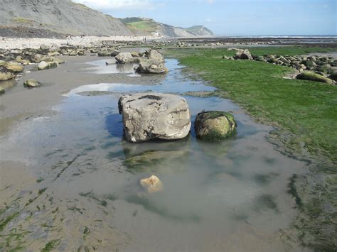 Best places to find fossils on the Jurassic Coast of Dorset in England ...