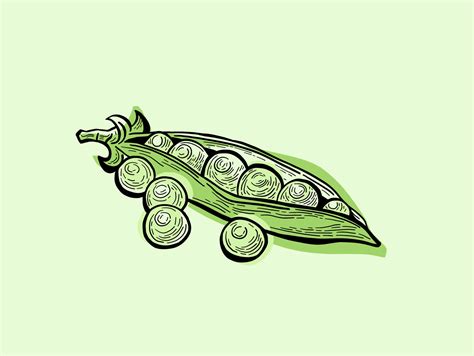 Peas in a pod illustration by Jen Borror | Hoot Design Studio on Dribbble