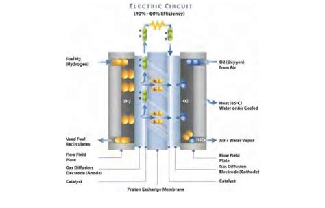 2. PEMFC basic operation | Download Scientific Diagram