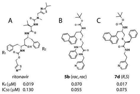 IJMS | Free Full-Text | Rational Design of CYP3A4 Inhibitors: A One ...