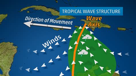 Why Tropical Waves Are Important During Hurricane Season | The Weather ...