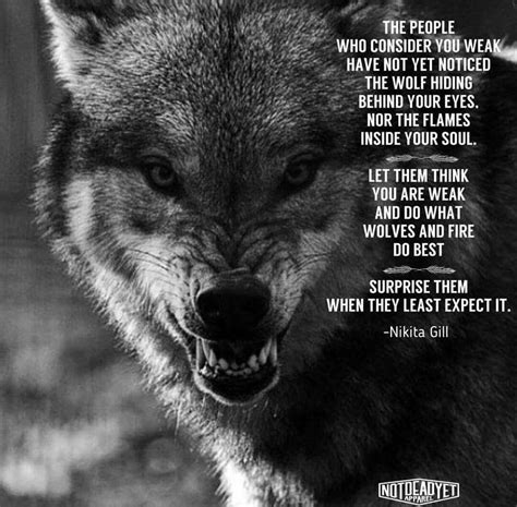 Wolf Quotes