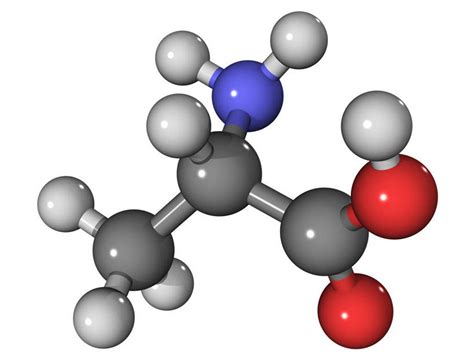 氨基酸分子结构,分子,20种基酸(第3页)_大山谷图库