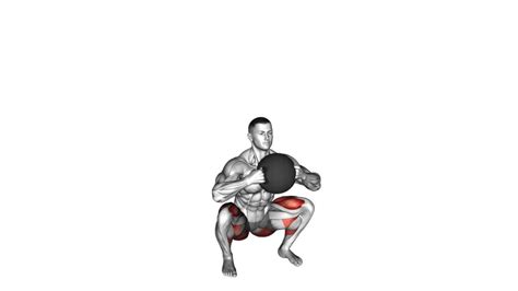 Medicine Ball Goblet Squat (Male) - Exercise Guide & Tips