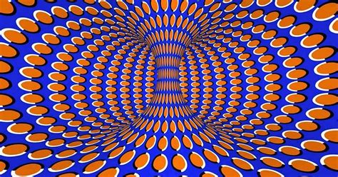 Optical Illusions and How They Work | AMNH