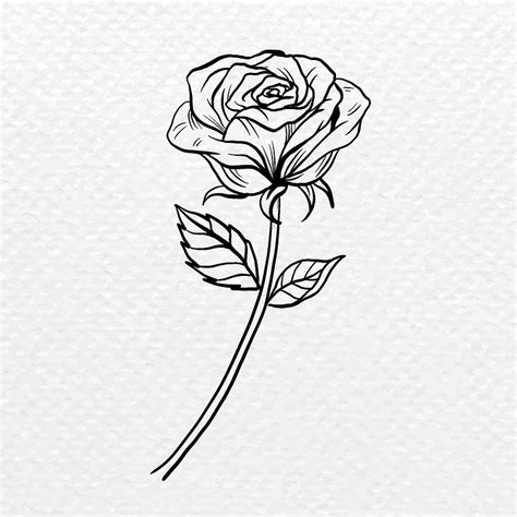 Rose Black And White Images | Free Photos, PNG Stickers, Wallpapers ...