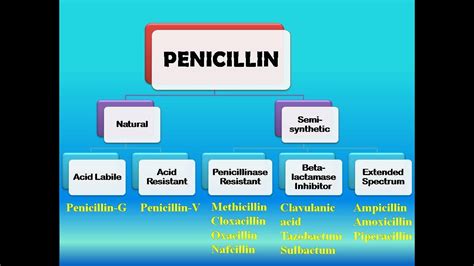 Penicillin Introduction, Classification, MOA and Uses || Penicillin-G ...