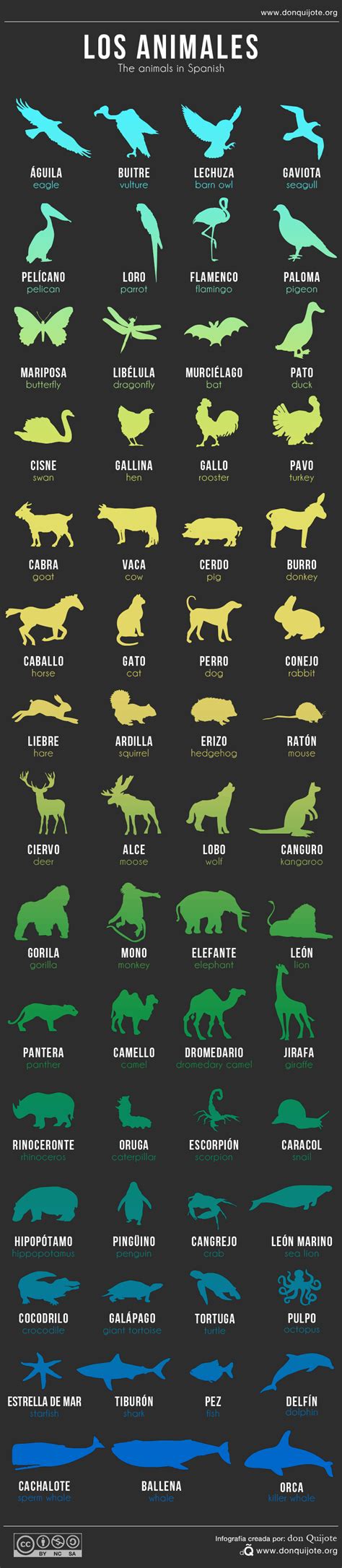 Tips to Translate Names of Animals from English to Spanish | Tipsographic