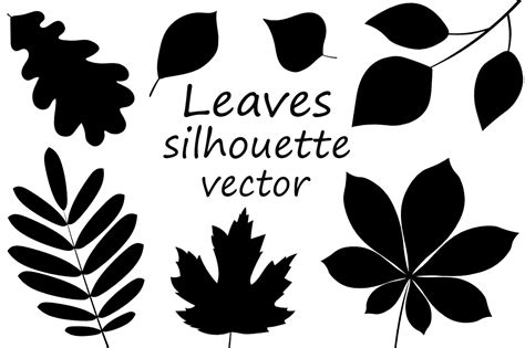 Leaves Silhouette. Autumn Leaves Vector Graphic by shishkovaiv ...