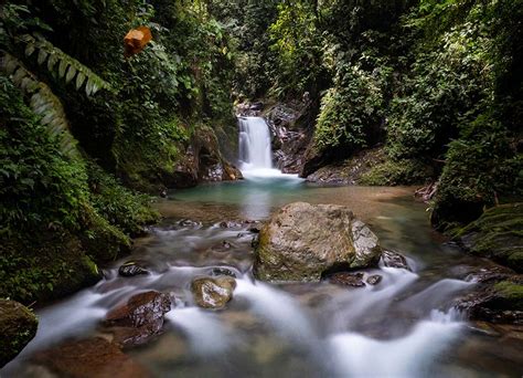 Explore Ecuador's Rainforests, Where The Nightlife Is Wild