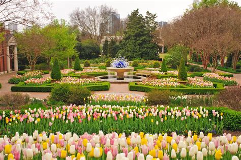 Atlanta Botanical Garden - A Vibrant Floral Wonderland – Go Guides