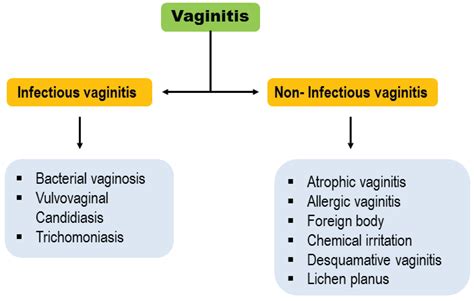 Vaginitis: Etiology and Role of Oxidative Stress, Inflammation and ...