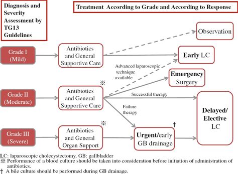 Acalculous Cholecystitis Diagnosis