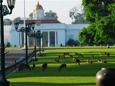 Bogor Botanical Garden in West Java