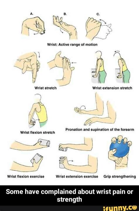 Wrist: Active range of motion Wrist extension stretch Pronation of the ...