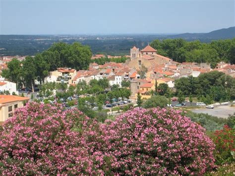 Life Is Just a Bowl of Cherries: The Cherry Festival in Céret, France ...