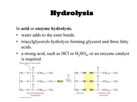 Hydrolysis