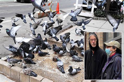 Upper East Side in uproar over cab driver feeding pigeons