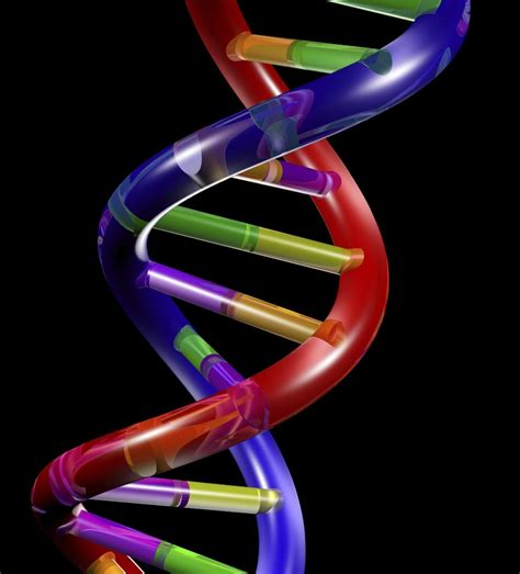 🔥 Free Download Related Pictures Dna Double Helix Model On Black ...