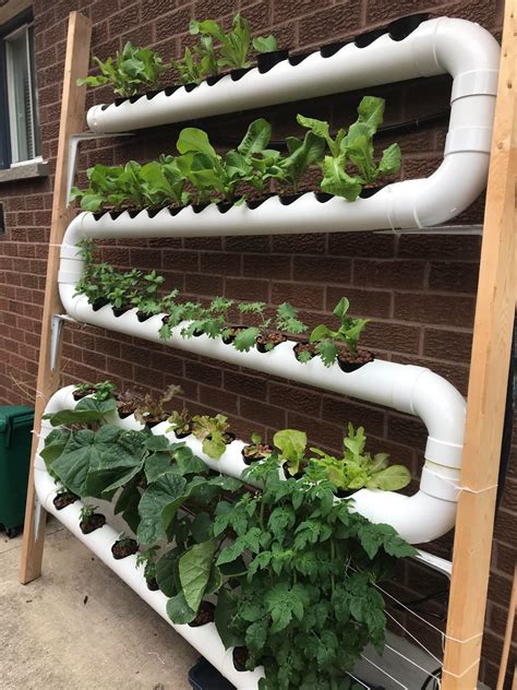 Plastic Rectangular Wall Mount Hydroponic System, Capacity: 65 Plants ...